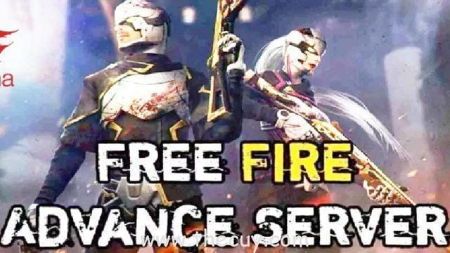 Kenapa FF Advance Server Gak Bisa Di Instal?