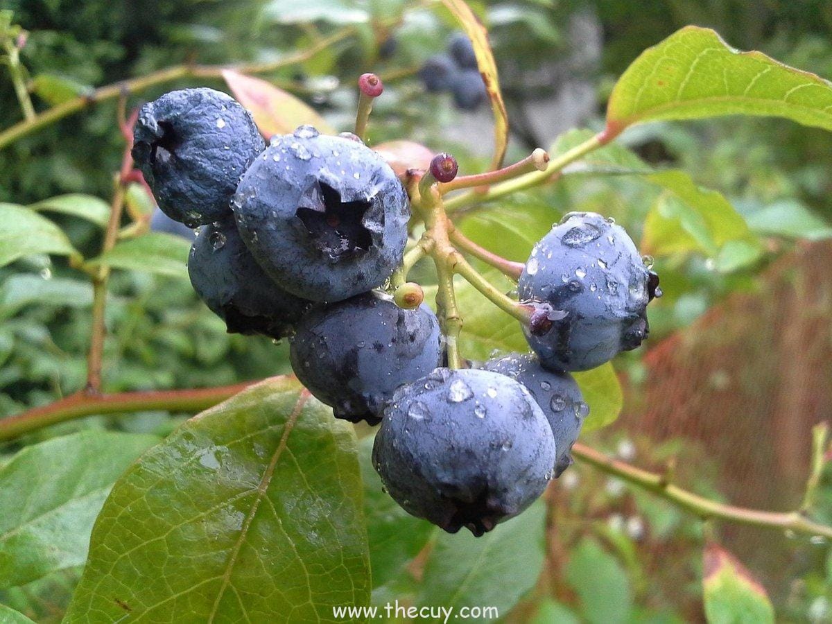 Alur Cerita yang Kompleks dan Memikat