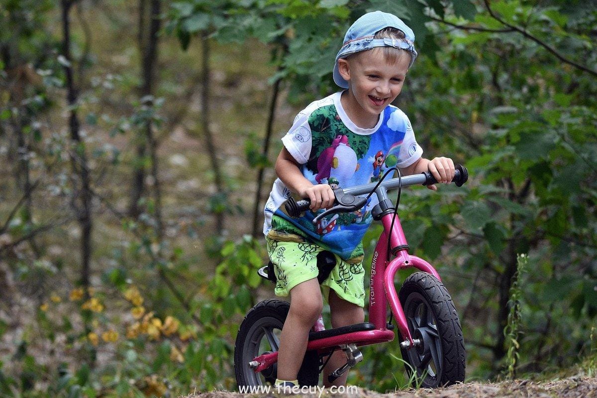 Arc Wano: Terungkapnya Rahasia Joy Boy dan Sejarah Abad Kekosongan