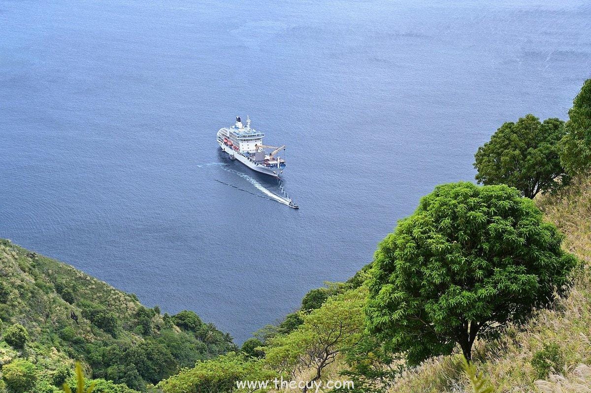 Buah Hana Hana no Mi (Nico Robin): Menumbuhkan Tangan