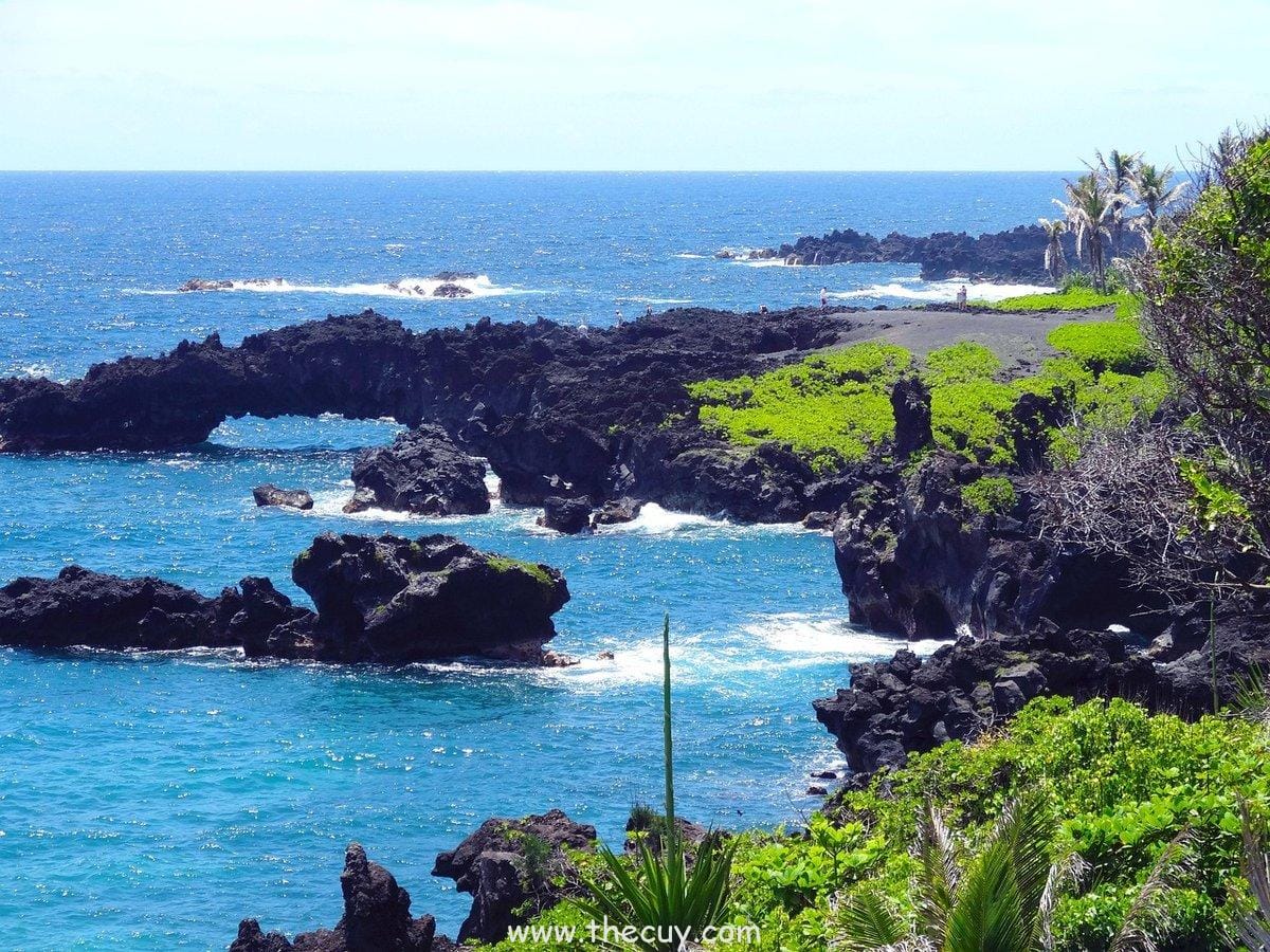 Buah Hana Hana no Mi (Nico Robin)