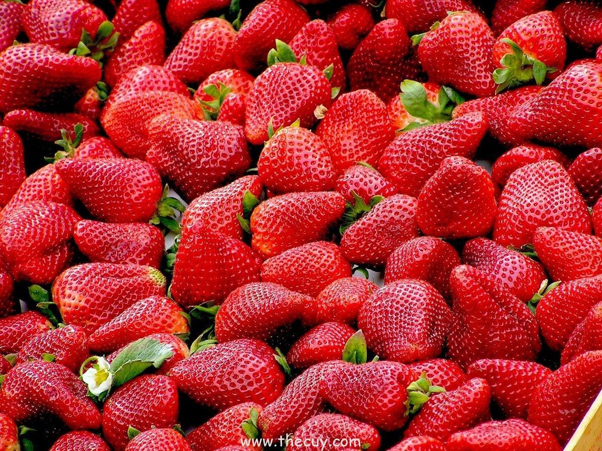 Buah Miracle Berry: Pengubah Rasa