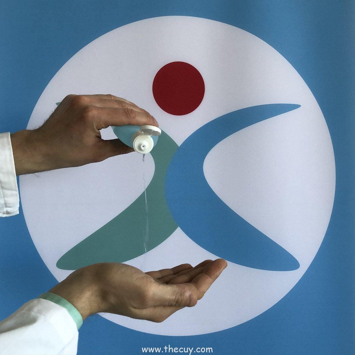 Buah Noro Noro no Mi (Foxy)