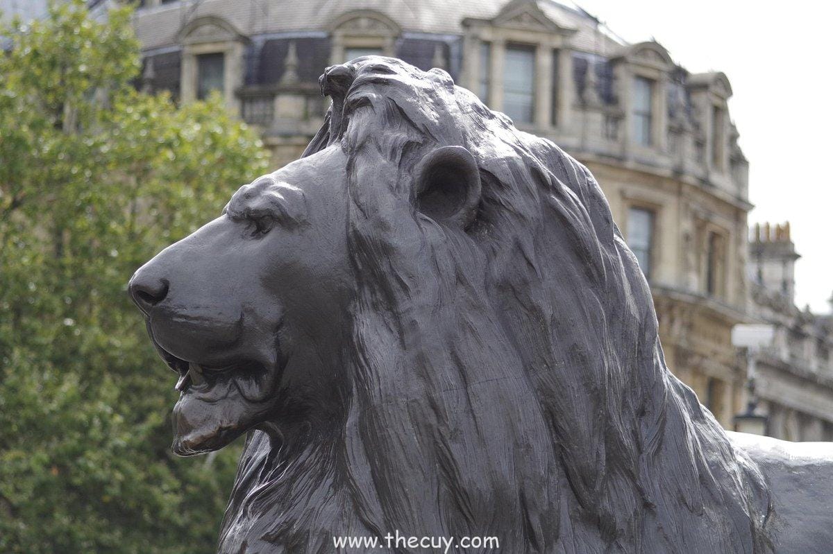 Buah Ope Ope no Mi ( Trafalgar Law): Membedah dan Mengganti