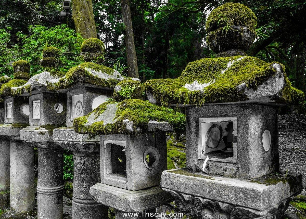 Buah Toro Toro no Mi (Alvida)