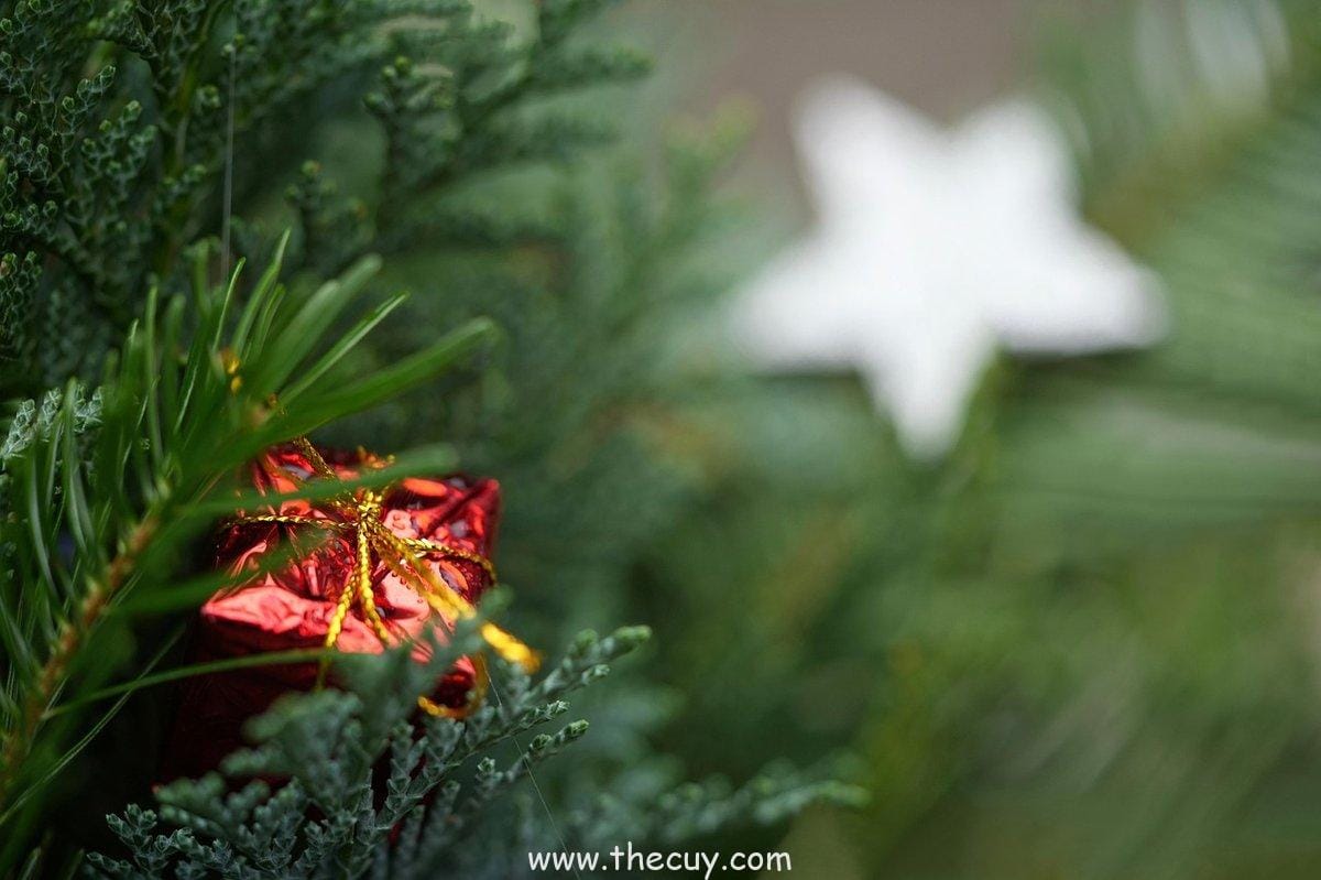 Buku Biru sebagai Hadiah