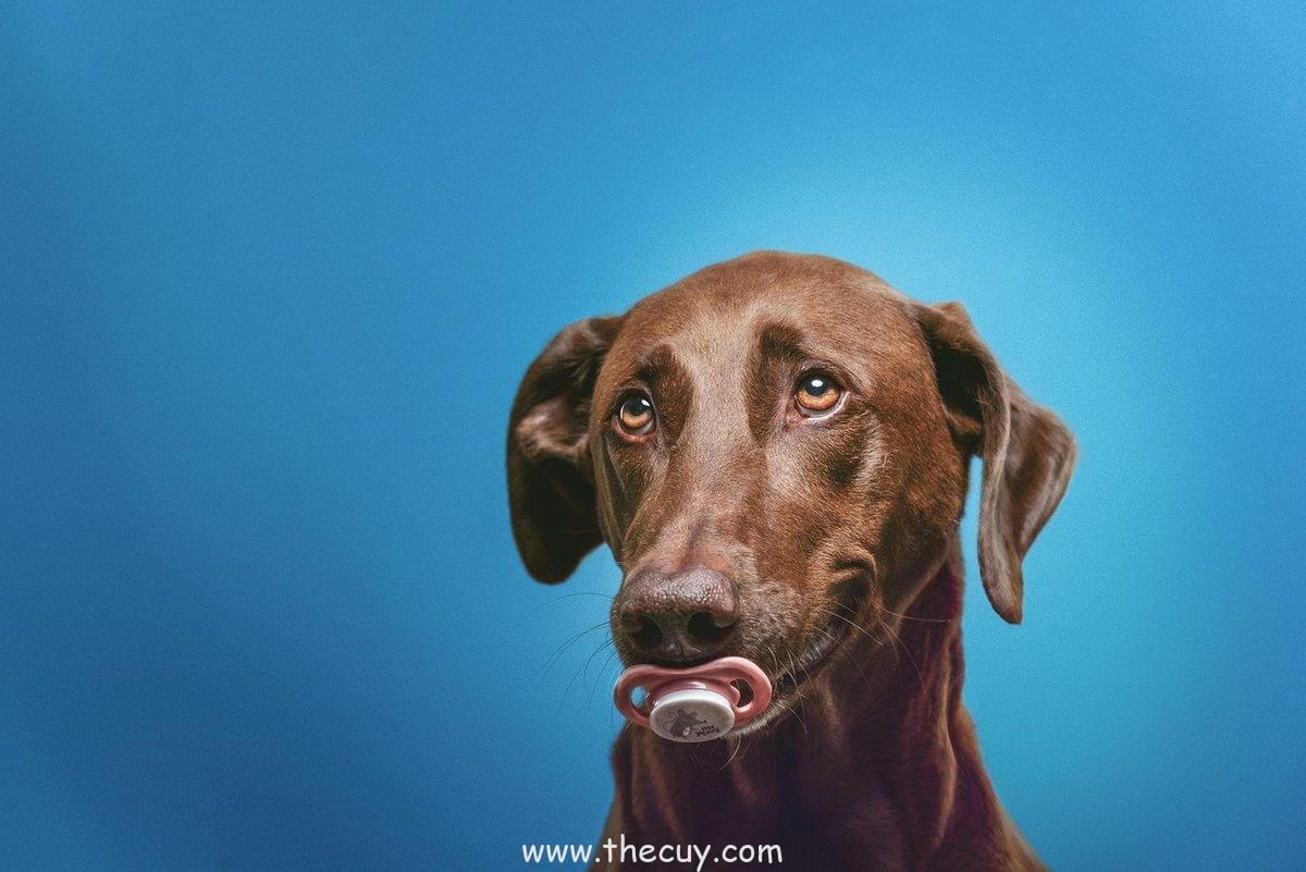 Candaannya Bikin Semangat!