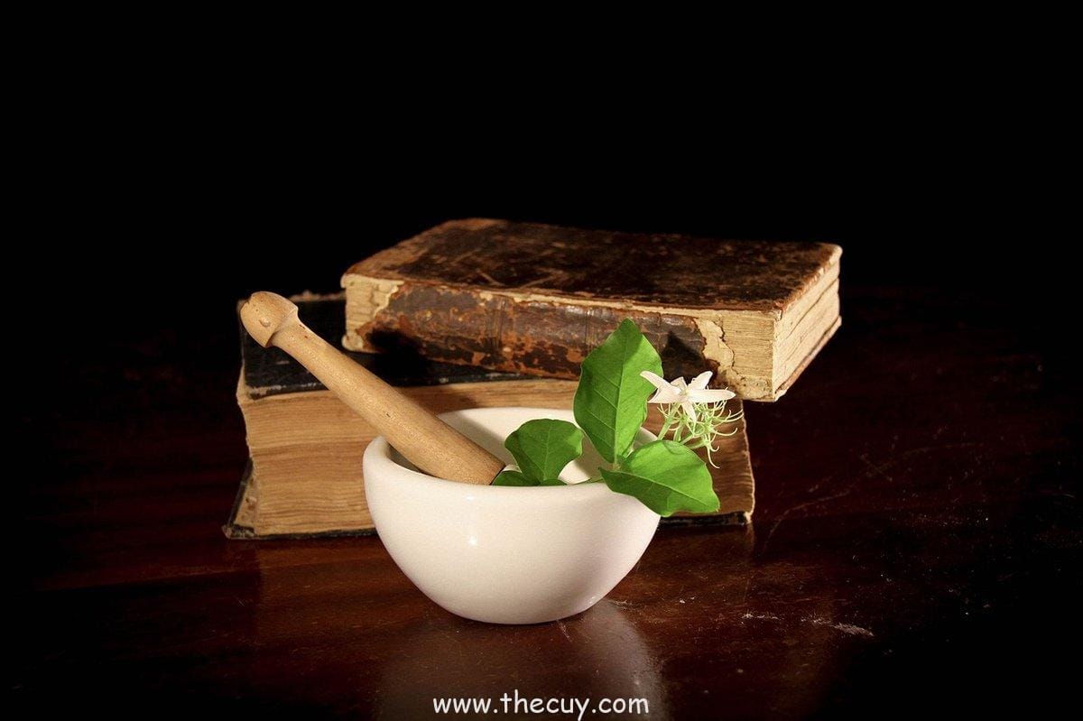 Chamomile Romawi: Anti-Stres dari Bunga Matahari