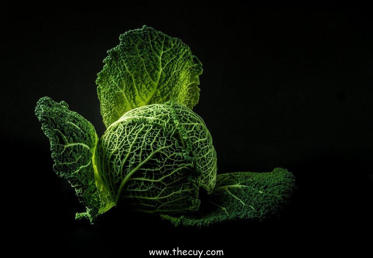 Choji Akimichi – Makanan adalah Sumber Kebahagiaan (dan Komedi)