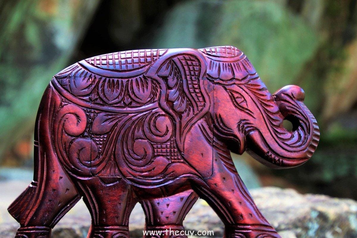 Dressrosa:  Luffy menghadapi Doflamingo