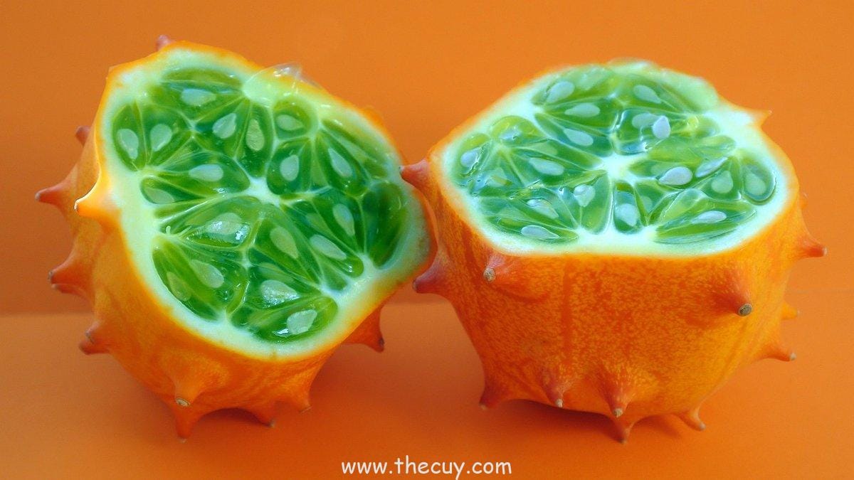 Horned Melon: Buah dari Gurun Kalahari