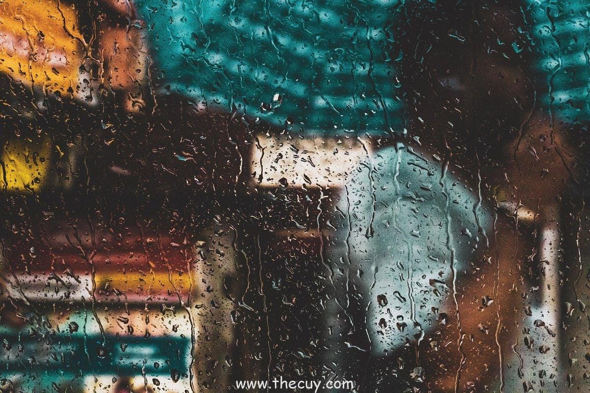 Law dan Corazon di Bawah Hujan