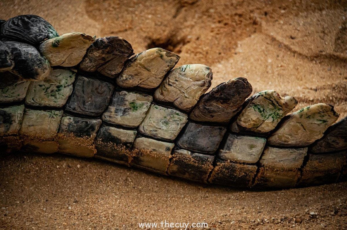 Luffy vs. Crocodile (Alabasta)