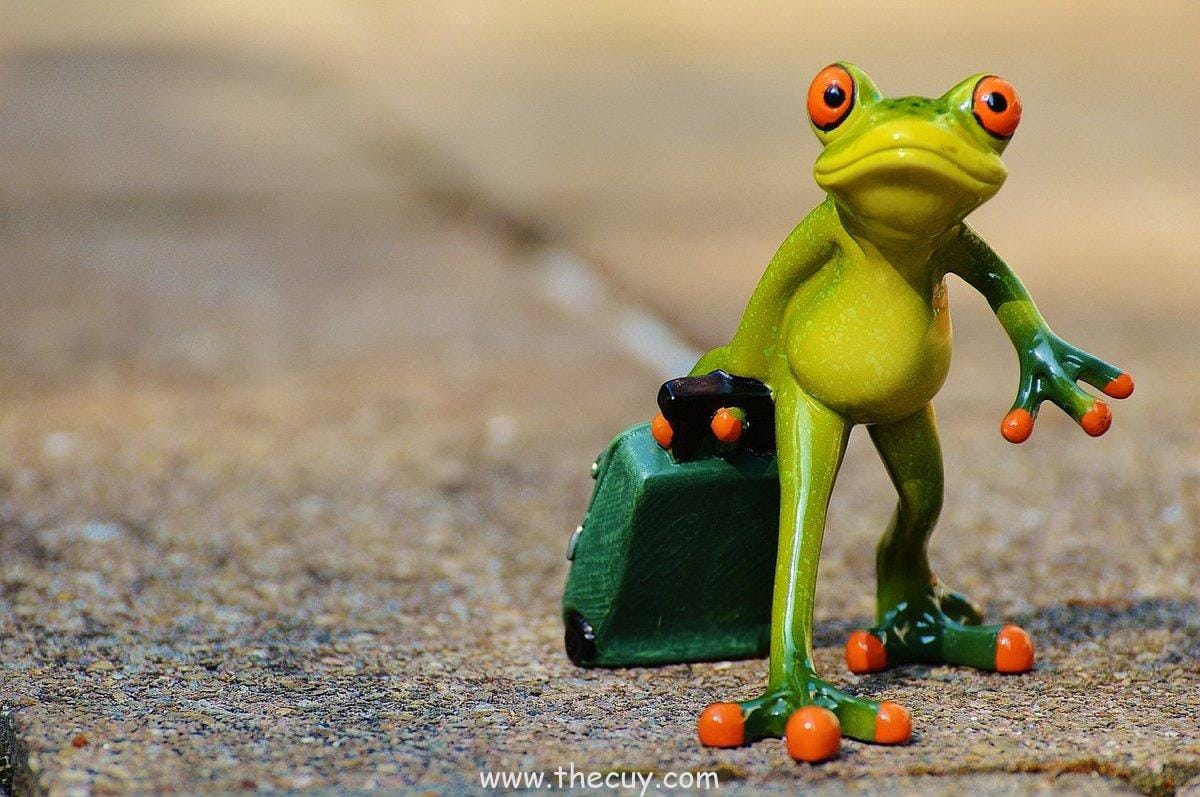 Momen Perpisahan Usopp dan Luffy