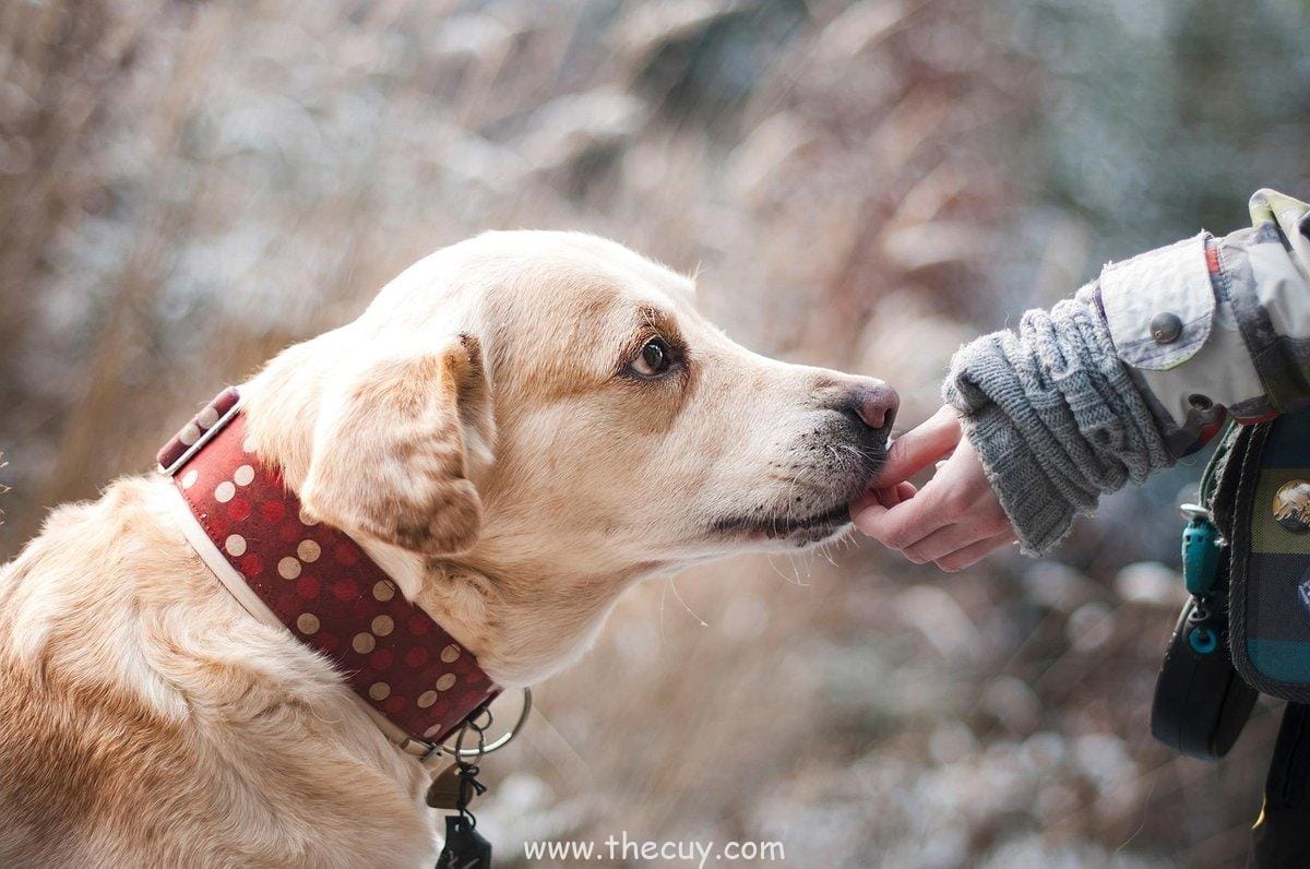 Nilai Persahabatan yang Nggak Ada Duanya