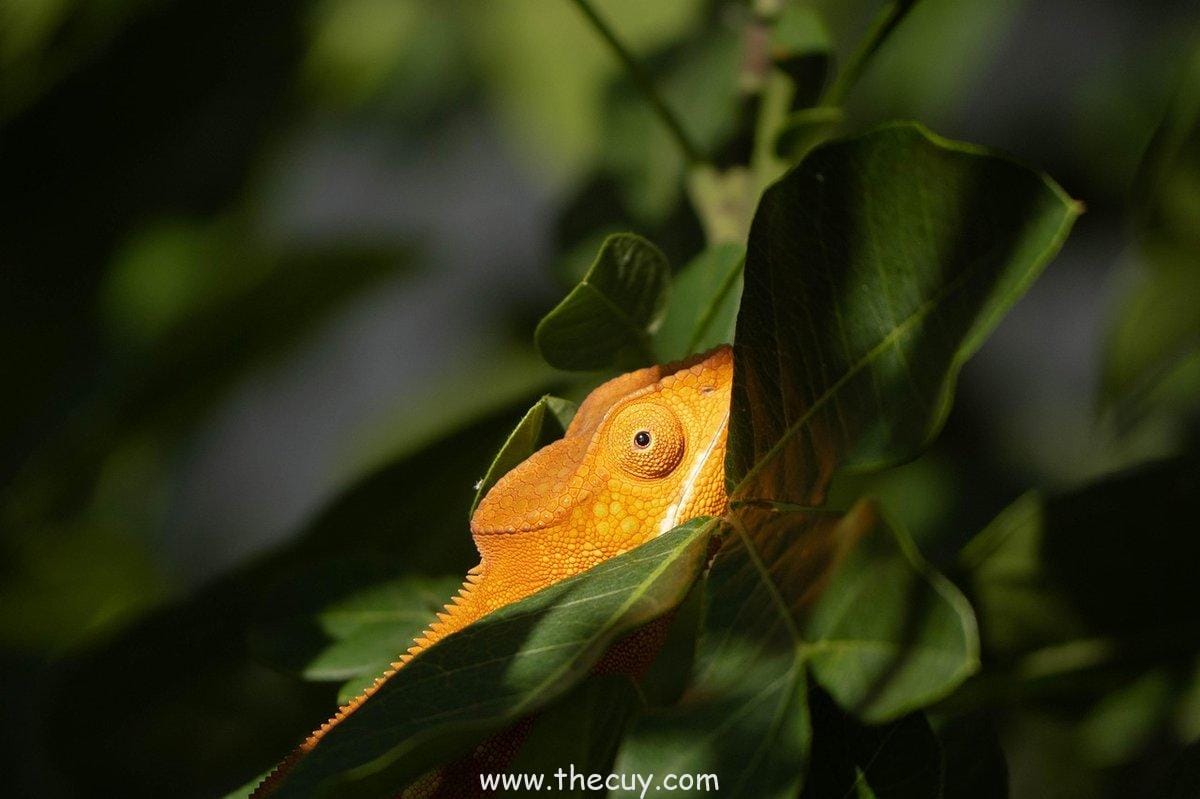Periode 100 Tahun yang Sengaja Dihilangkan