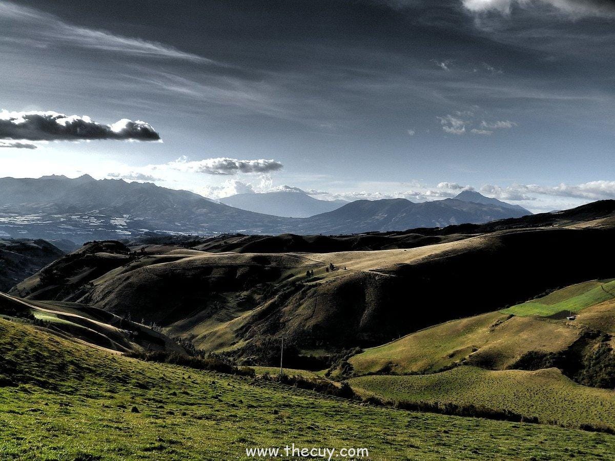 Pertemuan  antara  Andy  dan  Red  (The Shawshank Redemption)