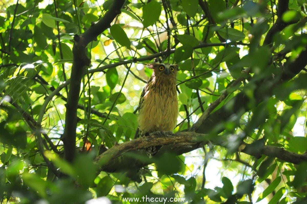 Pertemuan  antara  Buffy  Summers  dan  Spike (Buffy the Vampire Slayer)