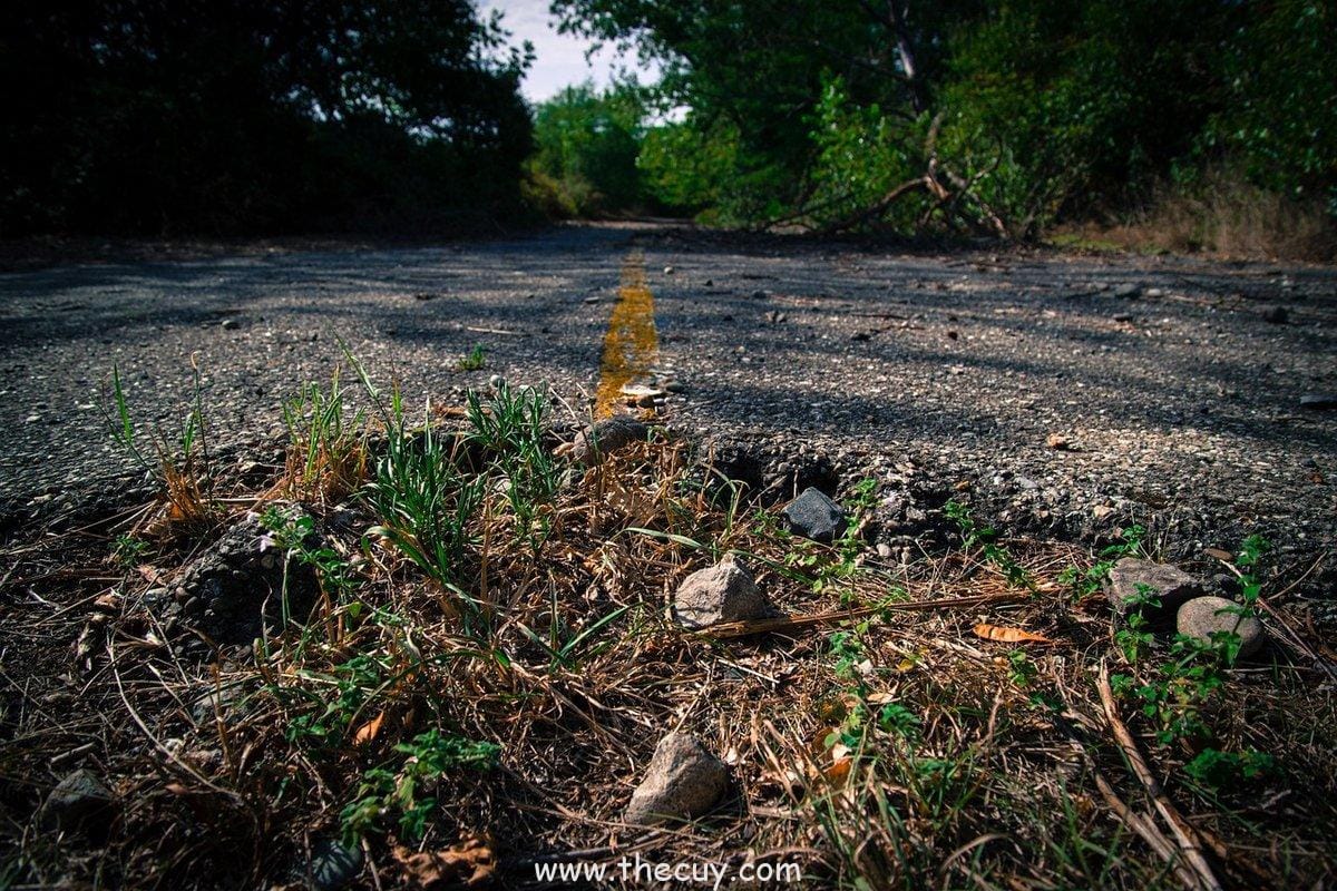 Pertemuan  antara  Rick  Grimes  dan  Michonne (The Walking Dead)