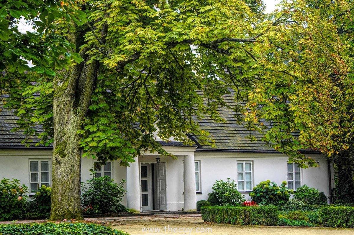 Potensi Perkembangan Karakter di Masa Depan