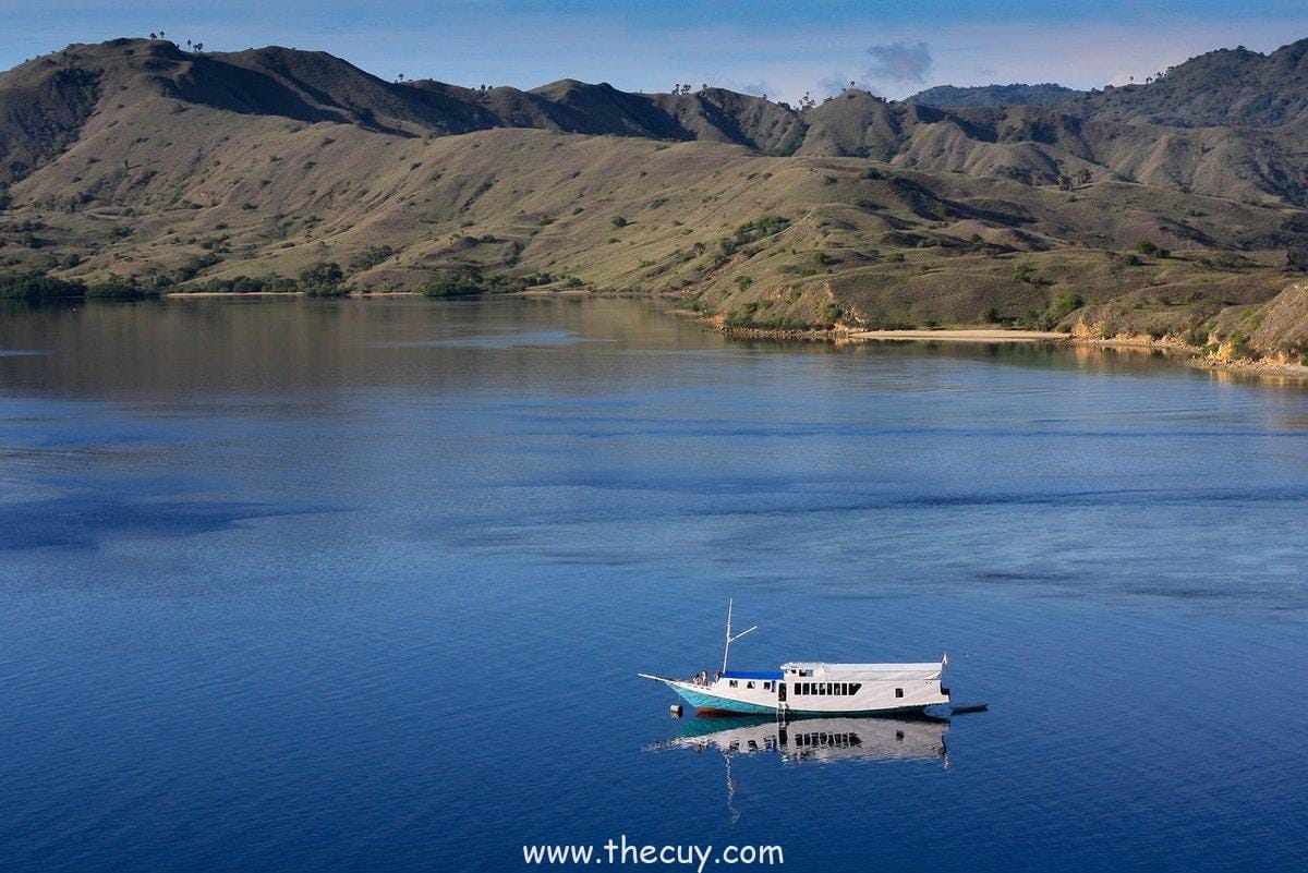 Pulau Komodo, NTT: Dunia Purba yang Masih Hidup