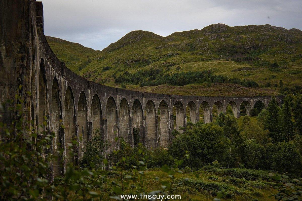 Ron Weasley (Harry Potter)