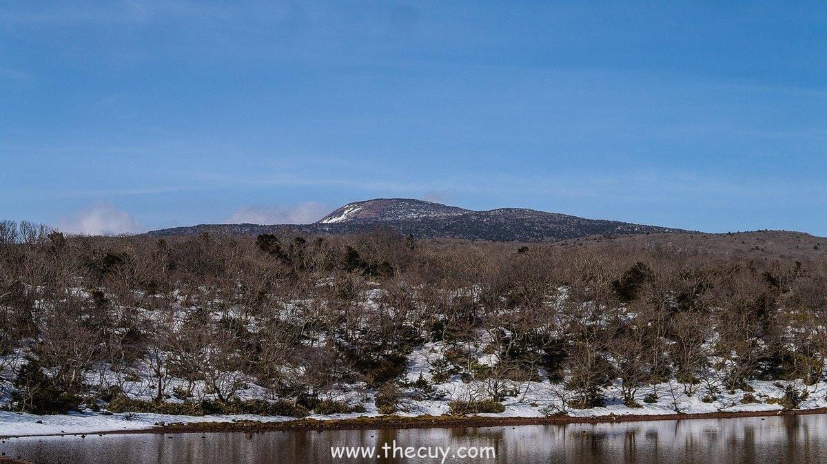 Sara Sara no Mi, Model: Axolotl (Sasaki)