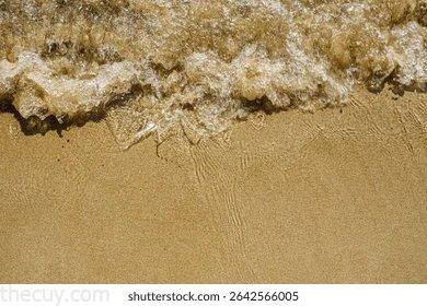 Wet Sand