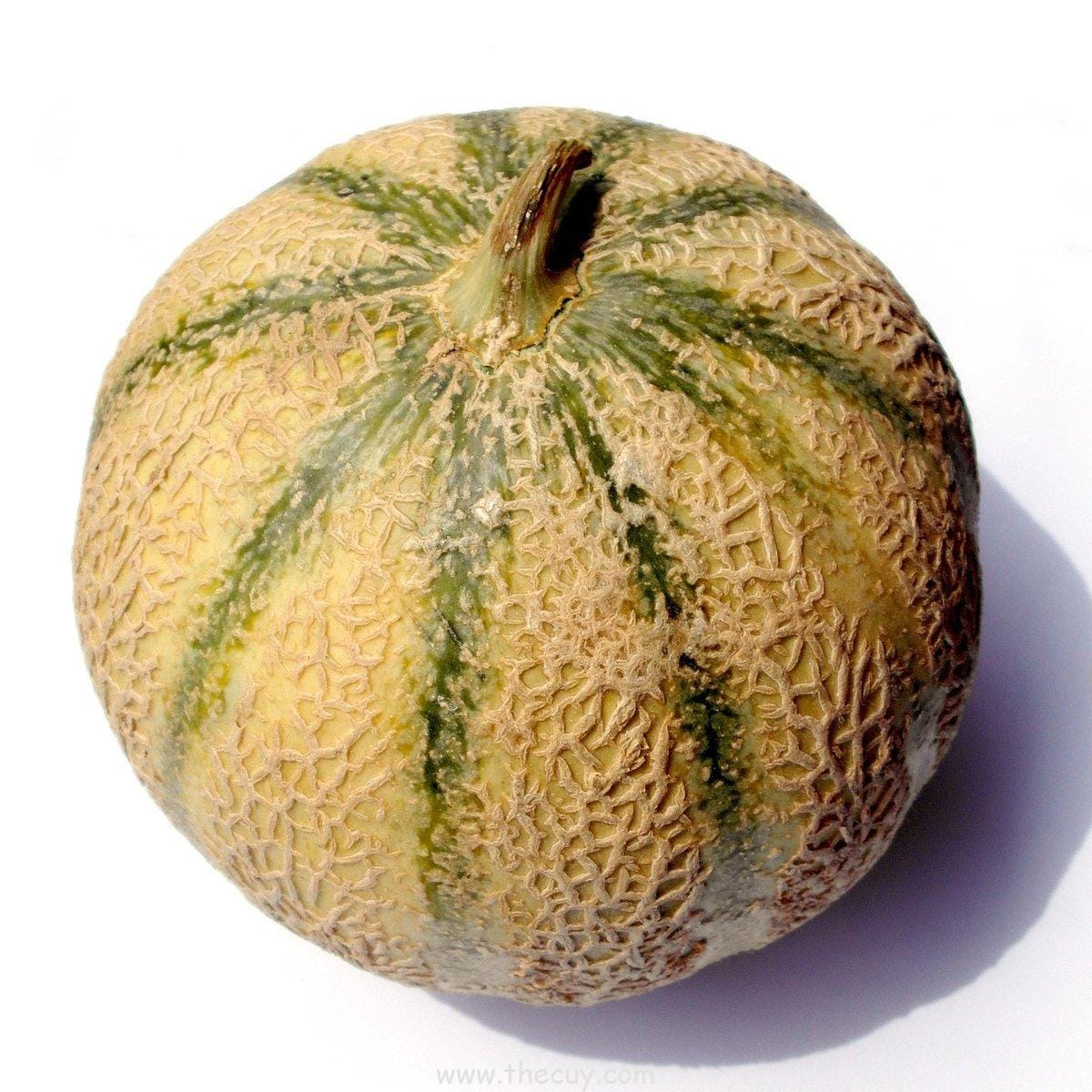 Yubari King Melon: Emas dari Jepang