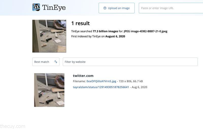 Penelusuran black mamba di TinEye