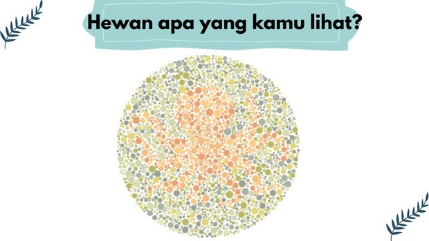 Soal Buta Warna