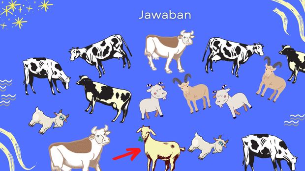 asah otak detikhealth