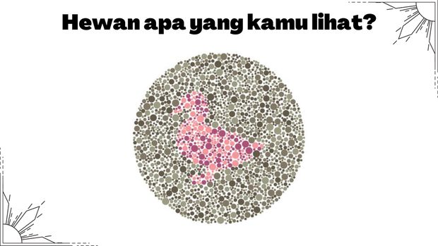 Buktikan kamu tidak buta warna