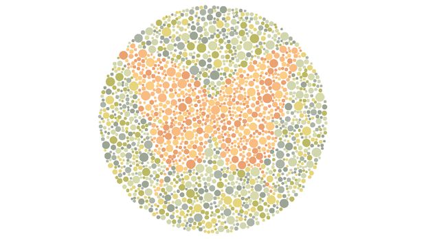 Tes buta warna detikHealth