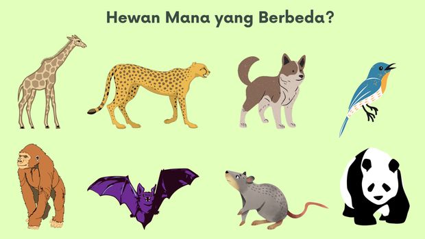 Ngasah otak
