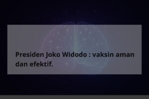Presiden Joko Widodo : vaksin aman dan efektif. - TheCuy