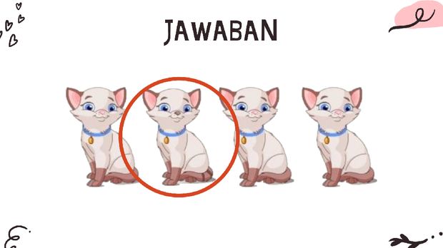 Jawaban kucing