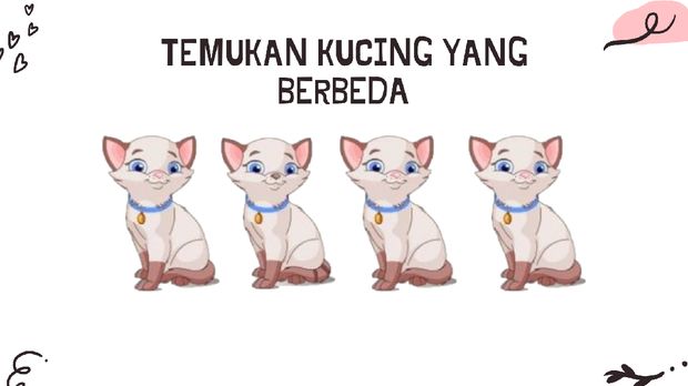 Gambar kucing