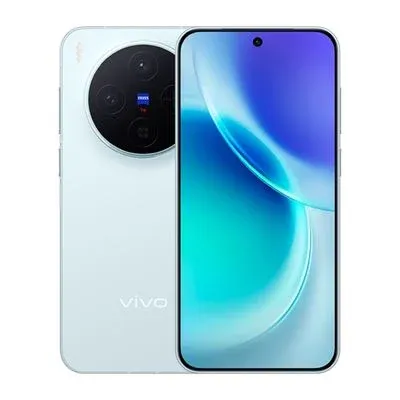 vivo X300