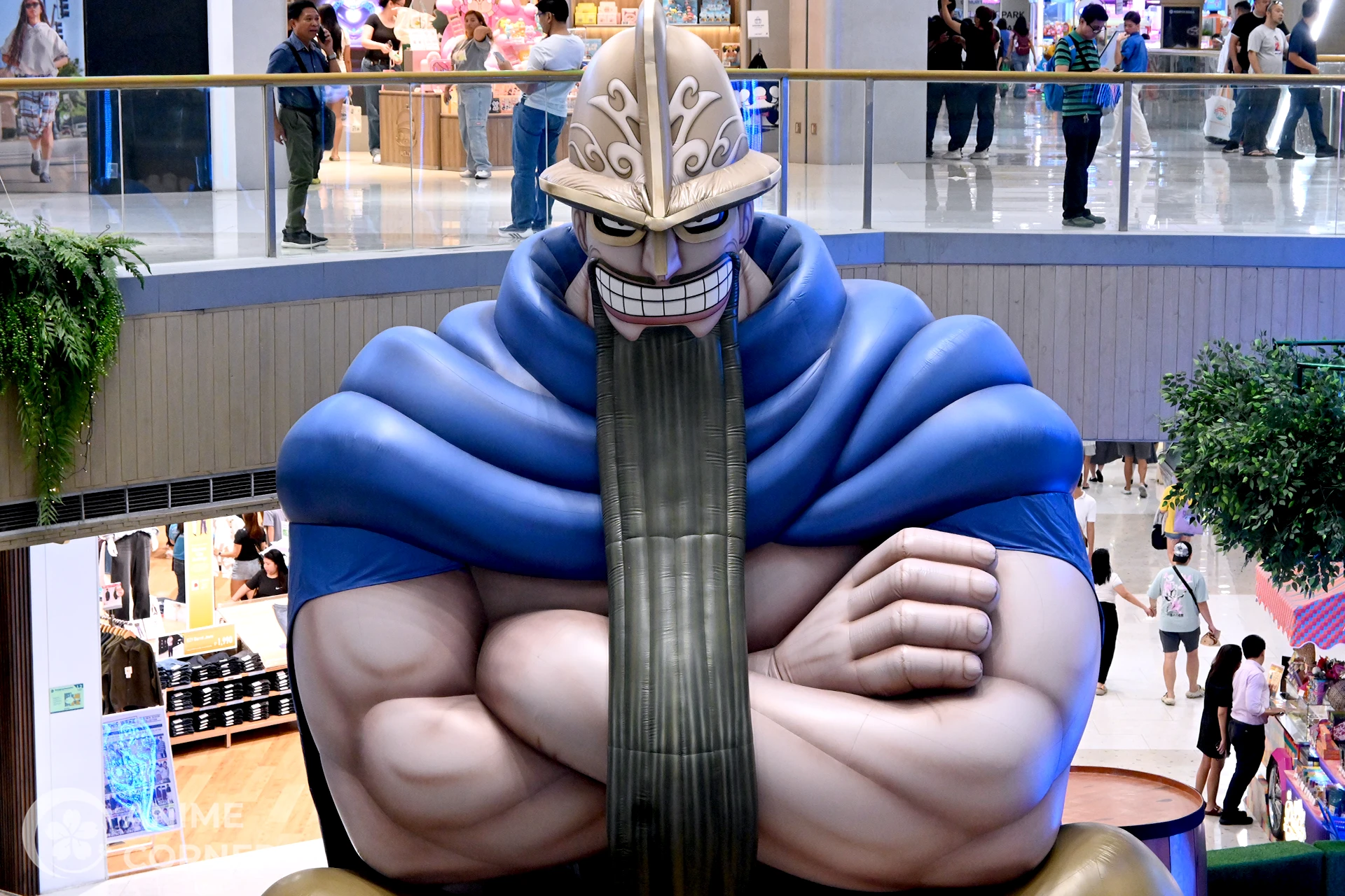 Animezing North One Piece Philippines