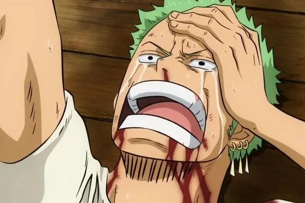 Alasan Zoro Memiliki Haoshoku Haki di One Piece 2 Zoro Memiliki Impian yang Tidak Kalah Besar dari Luffy