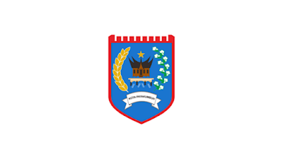 Penerimaan Tenaga Profesional Lainnya (TPL) Non ASN RSUD dr. Adnaan WD Payakumbuh Tahun Anggaran 2026
