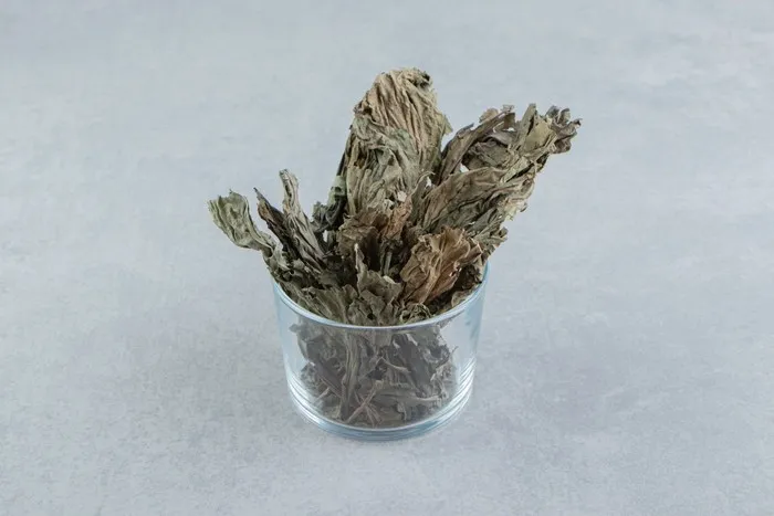 An unhealthy plant is not only unsightly but also thought to diminish a room's vitality and bring negative energy into the home.