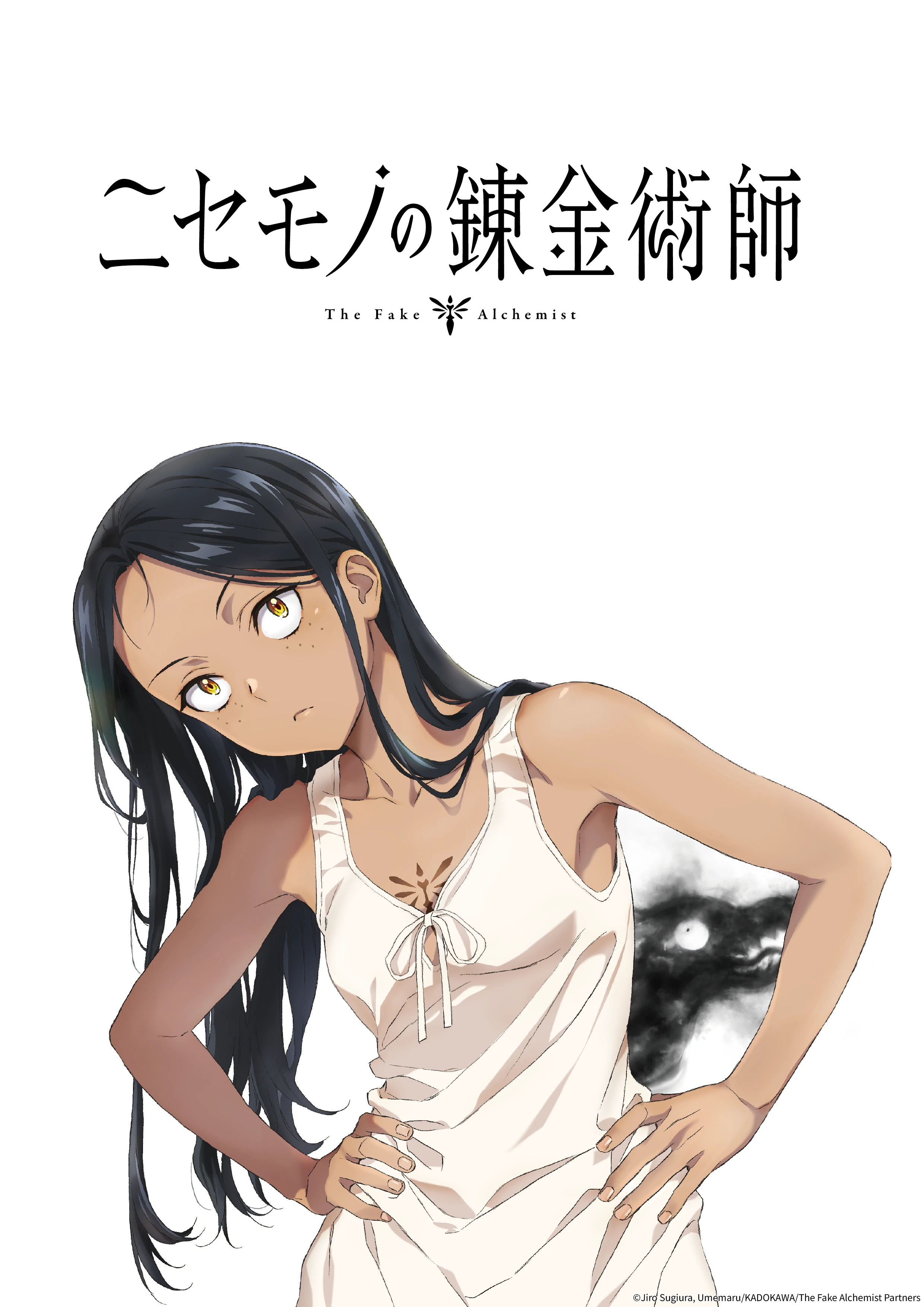 The Fake Alchemist Visual