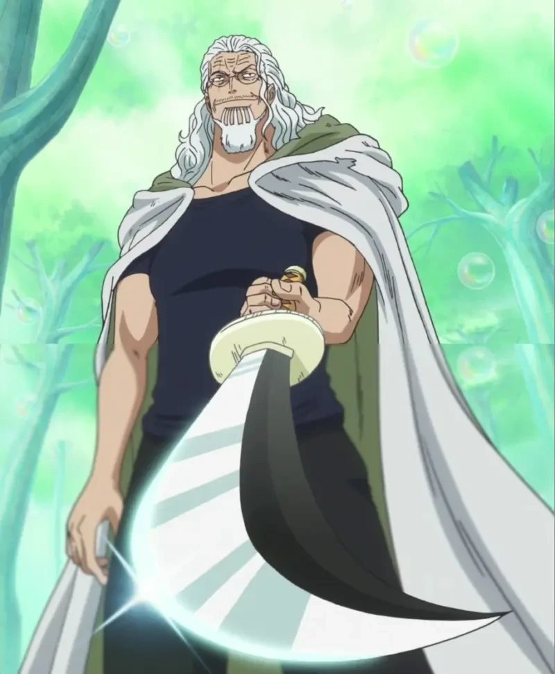 9 Karakter yang Jadi Guru Kru Topi Jerami di One Piece 2 Karakter yang Jadi Guru Kru Topi Jerami