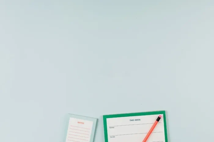 Professional checking weekly project progress at a desk