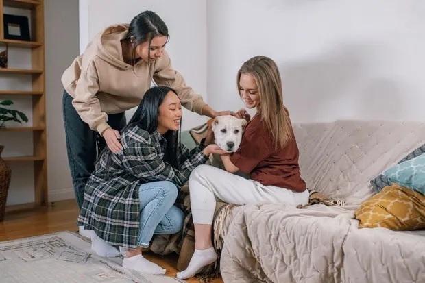 Pengertian Doorbell Friend/Foto: Pexels.com/Alena Darmel Doorbell Friend adalah teman dekat yang bisa datang atau menghubungi secara spontan karena hubungan tersebut dibangun dari rasa percaya, kedekatan, dan kenyamanan.